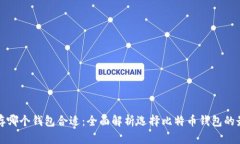 比特币存哪个钱包合适：全面解析选择比特币钱