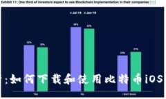 Title 全面解析：如何下载